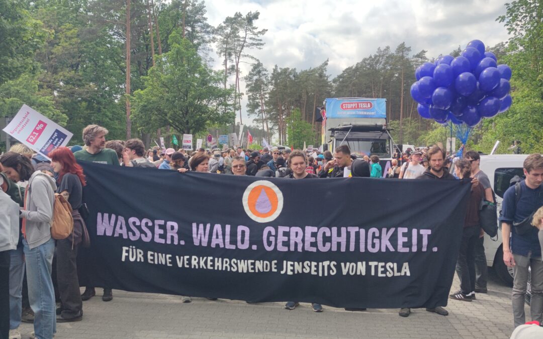 05 Aufbäumen in Grünheide