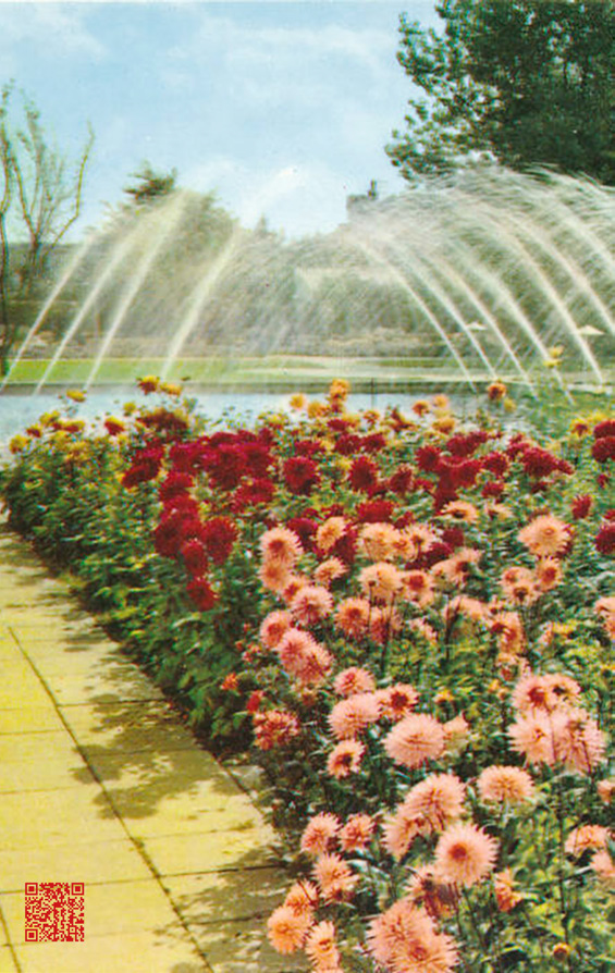 Brotherland_Zaninelli_Jakobs_Blumen