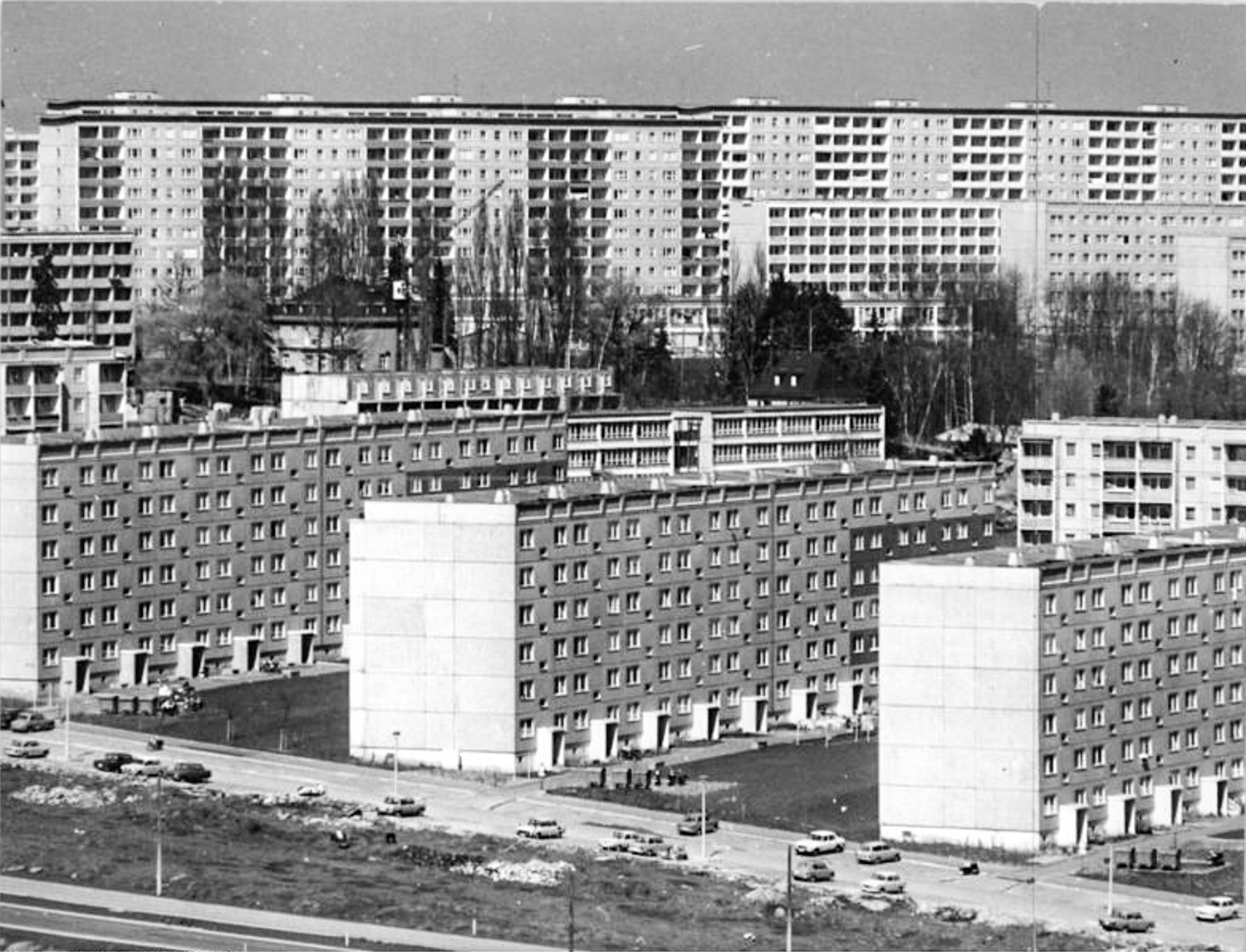 Zaninelli_Jakobs_BROTHERLAND_06.da851bfd