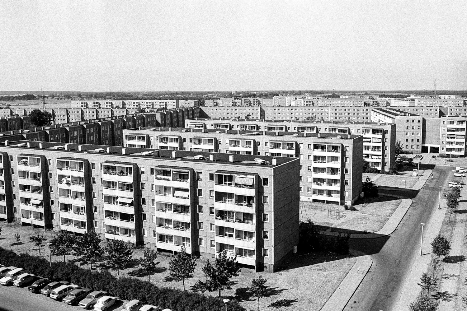 Zaninelli_Jakobs_BROTHERLAND_07.83ab62c4